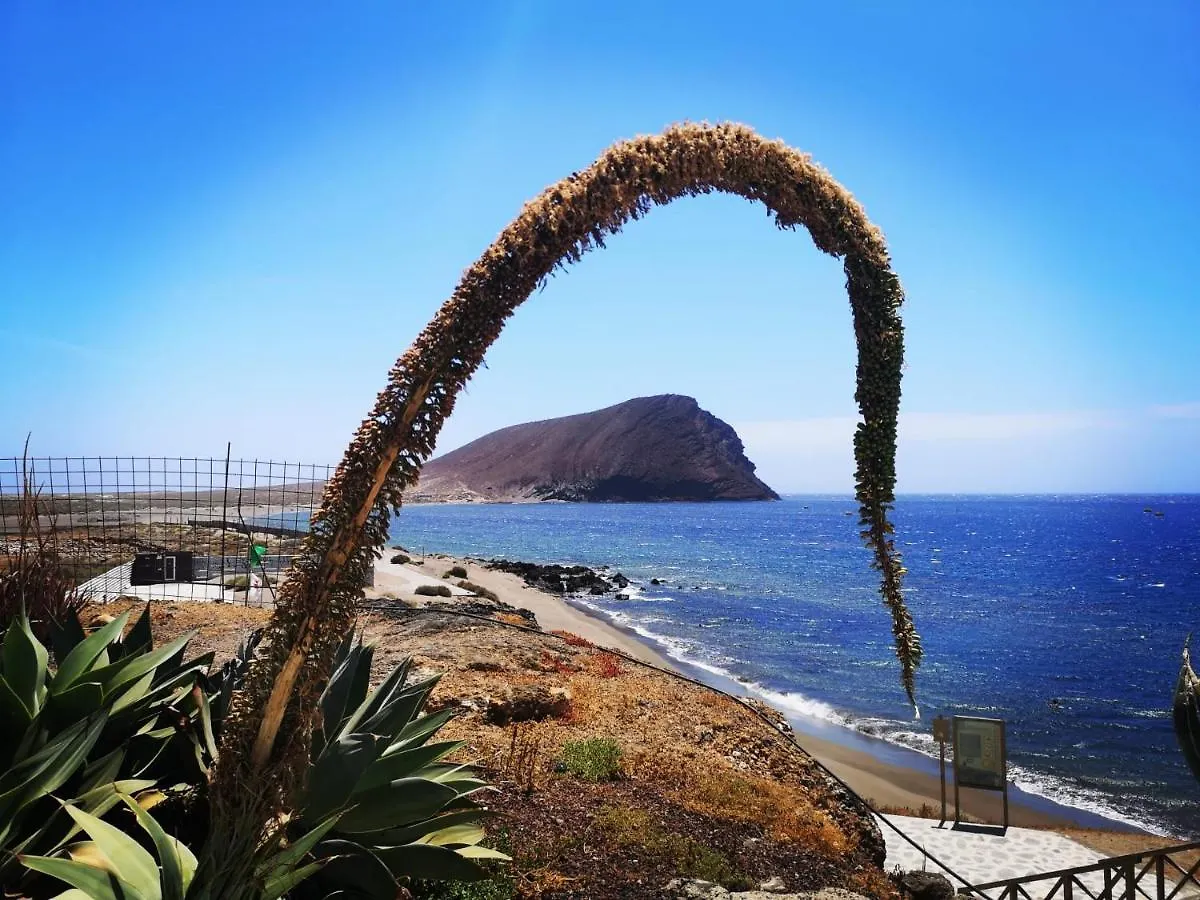 Casita Canaria 산타크루스데 테네리페 스페인
