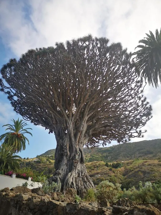 펜션 Casita Canaria 산타크루스데 테네리페