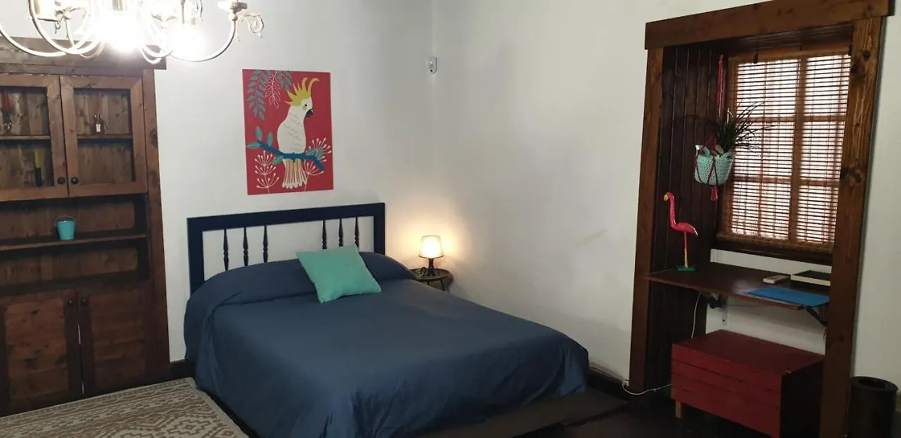 펜션 Casita Canaria 산타크루스데 테네리페
