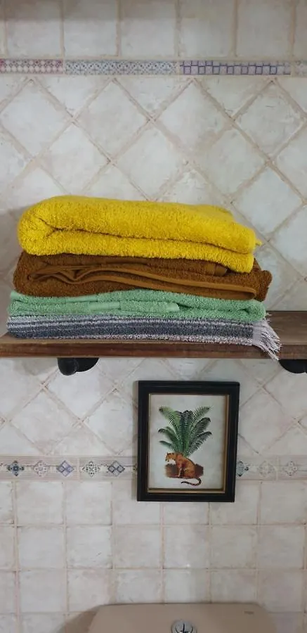 Casita Canaria 산타크루스데 테네리페 0*,